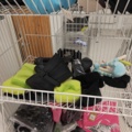 1485724-3 Lot of clothes, shoes, etc.
