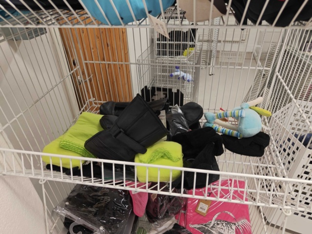 1485724-3 Lot of clothes, shoes, etc.