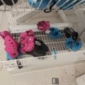 1485724-8 Lot of clothes, shoes, etc.