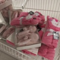 1485724-14 Lot of clothes, shoes, etc.