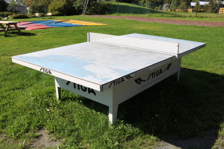 1515196-5 Table tennis table Stiga Outdoore