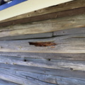 1515197-16 Log cabin ready to move out (Kullen 7)
