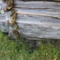 1515197-18 Log cabin ready to move out (Kullen 7)