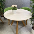 1546158-11 Collection of tables, chairs and plastic plants