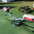 1515198-1 Seesaw Ladybug