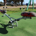 1515198-2 Seesaw Ladybug