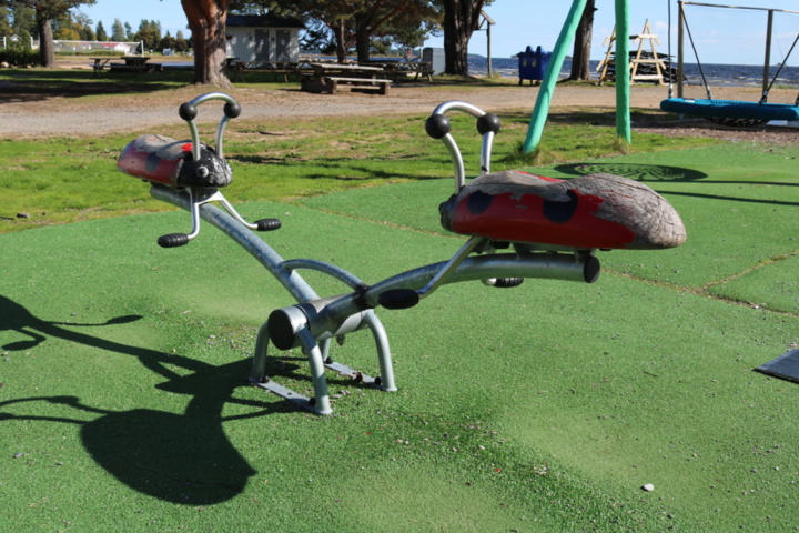 1515198-2 Seesaw Ladybug