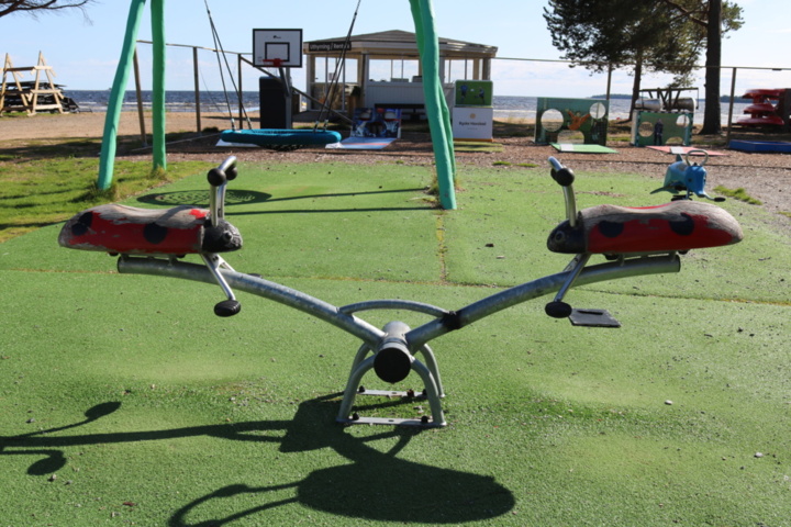 1515198-3 Seesaw Ladybug