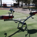 1515198-4 Seesaw Ladybug