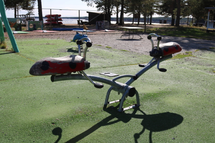 1515198-4 Seesaw Ladybug