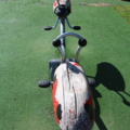 1515198-5 Seesaw Ladybug
