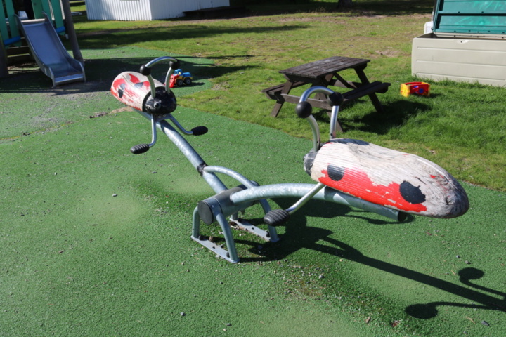 1515198-6 Seesaw Ladybug