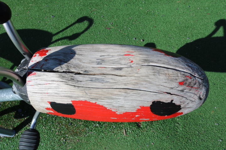 1515198-7 Seesaw Ladybug