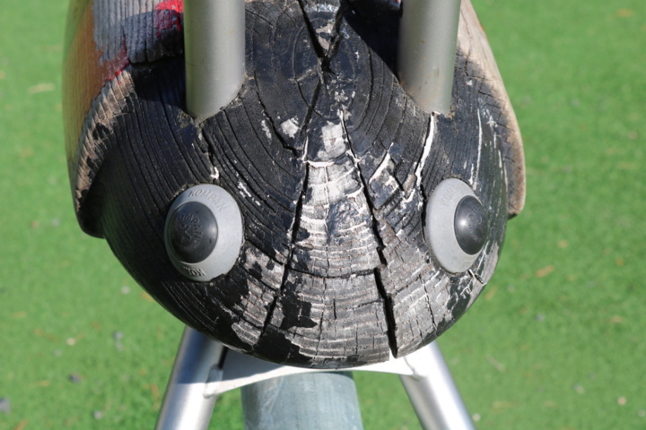 1515198-9 Seesaw Ladybug
