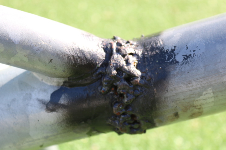 1515198-12 Seesaw Ladybug