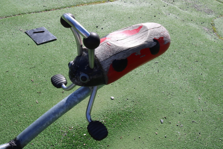 1515198-13 Seesaw Ladybug