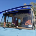 1564797-21 Husbuss Mercedes-Benz L 608 DGE, 85hk, 1982