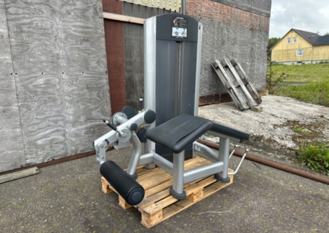 Leg Curl - Life Fitness