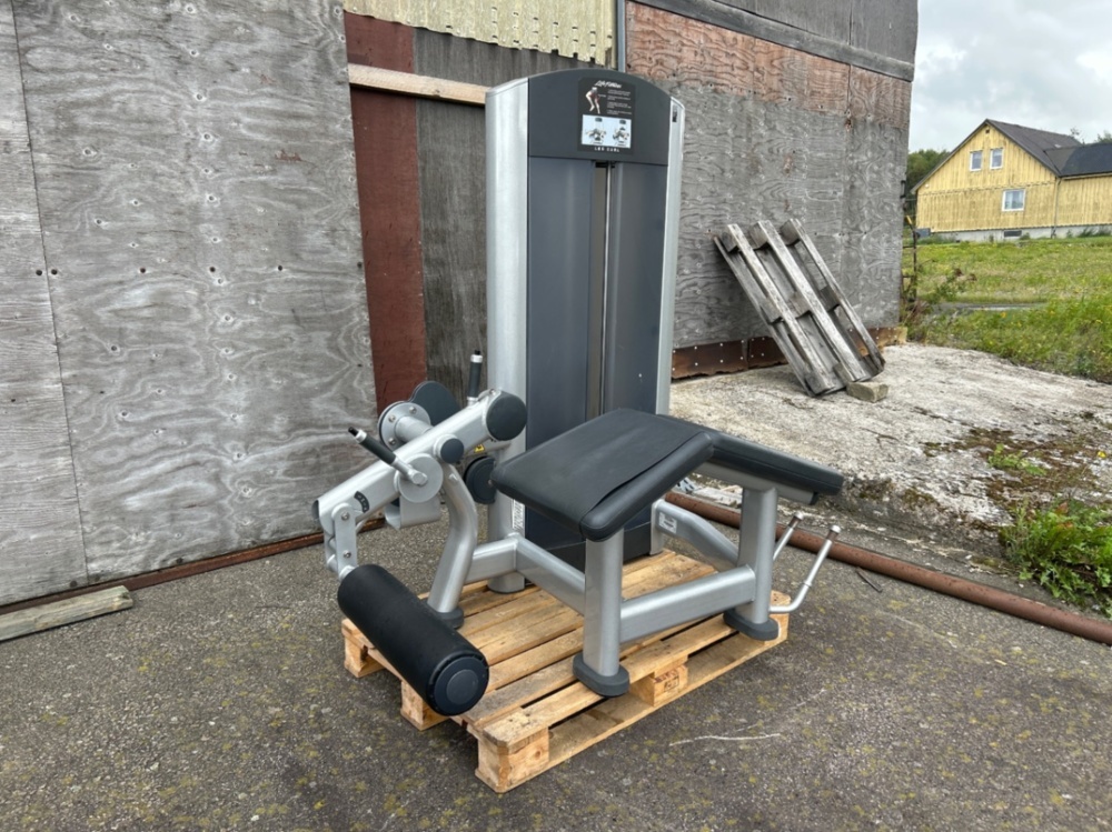 1486369-1 Leg Curl - Life Fitness