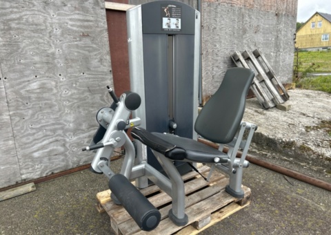 Gym machine - Life Fitness Leg Extension