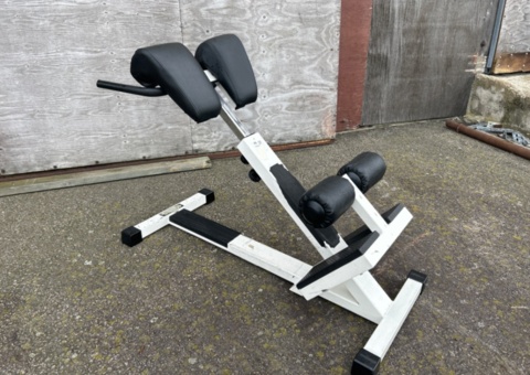 Hyperextension bench - Technogym PR50
