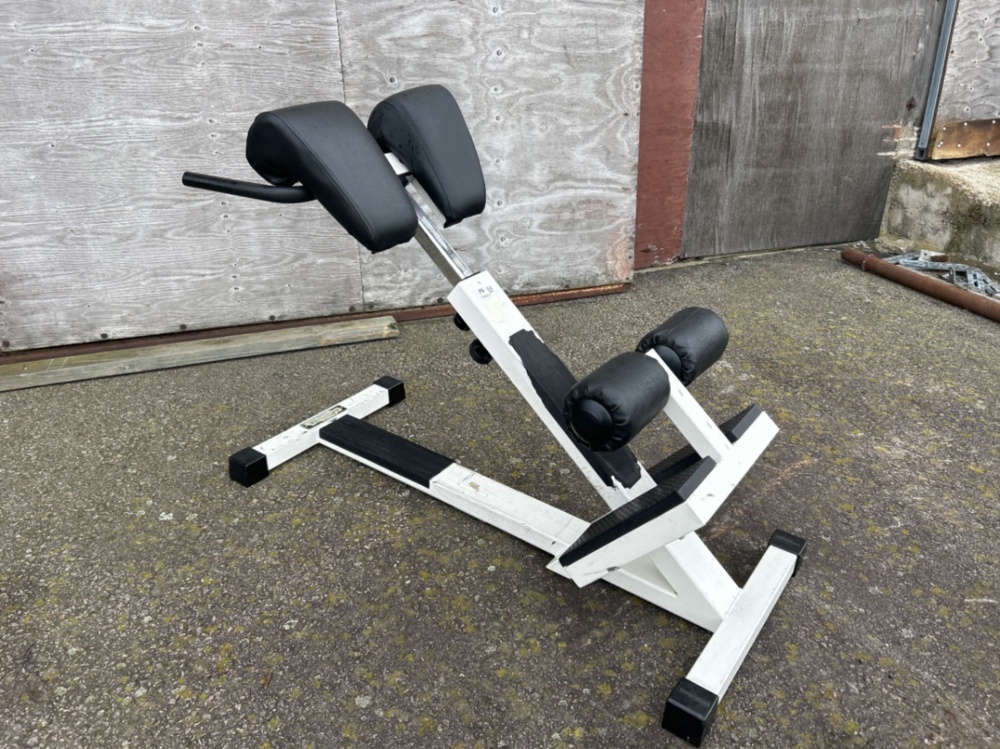 1486371-1 Hyperextension bench - Technogym PR50