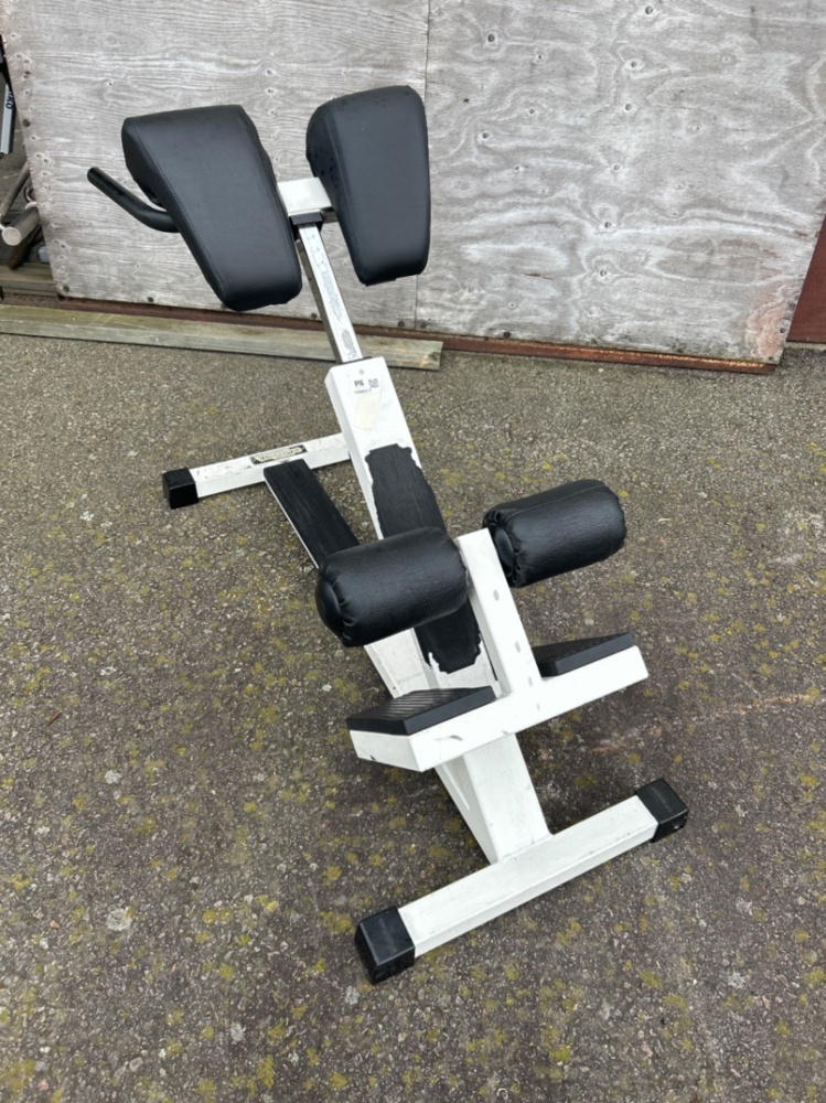 1486371-2 Hyperextension bench - Technogym PR50