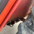 1571825-35 Traktor VOLVO-BM T 500 H -1977