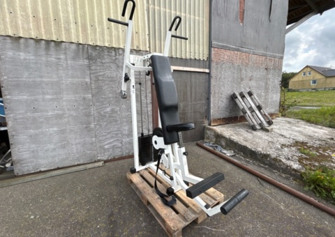 Vertical pull-up exercise machine - Technogym