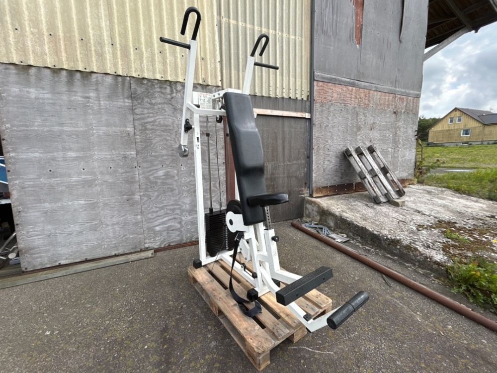 1486378-1 Vertical pull-up exercise machine - Technogym