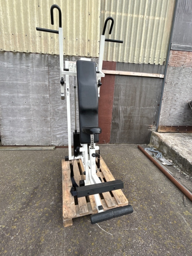 1486378-2 Vertical pull-up exercise machine - Technogym