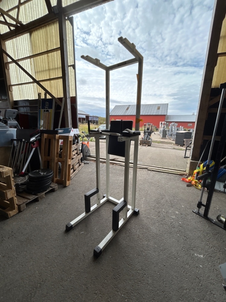 1486379-1 Chin/dip position - Technogym