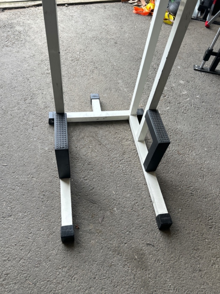 1486379-2 Chin/dip position - Technogym