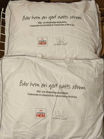 1564810-1 Dunkuddar 2st nya,  50 x 60 cm -  Norskt dun Medium / Mjuk