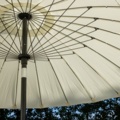 1570187-8 Palmetto Parasoll