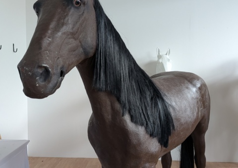 Image representing the auction - Sale of large stock of horse, dog and animal accessories