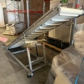 1573143-5 Packing machine with sorting system and roller conveyors - Emotions PSF3500