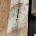 1571830-8 Planed timber 20×70 mm - approx. 450 pcs