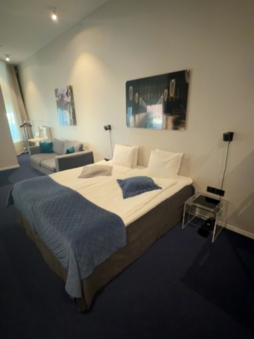 1491668-9 Complete interior design from hotel room (Room B01)