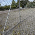 1565964-7 Football field and basketball court with fence