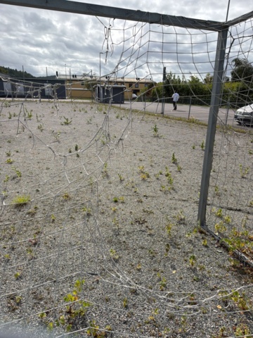 1565964-13 Football field and basketball court with fence