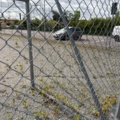 1565964-14 Football field and basketball court with fence