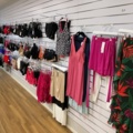 1473625-1 Lingerie and swimwear party