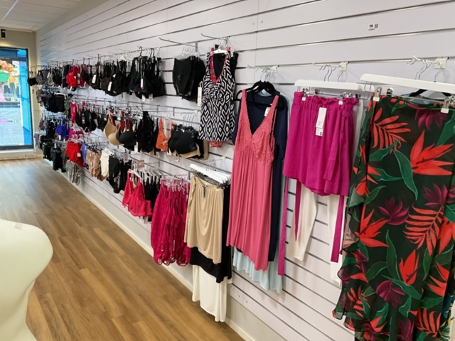 1473625-1 Lingerie and swimwear party