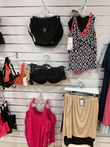 1473625-3 Lingerie and swimwear party