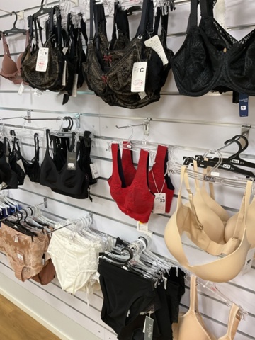 1473625-5 Lingerie and swimwear party