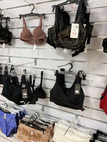 1473625-6 Lingerie and swimwear party