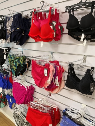 1473625-7 Lingerie and swimwear party
