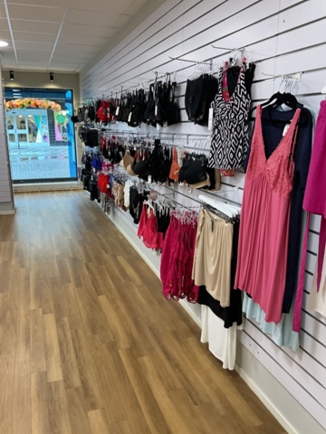 1473625-31 Lingerie and swimwear party