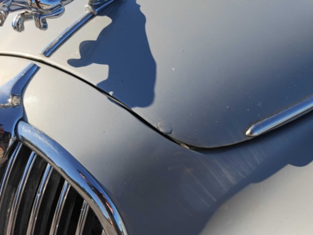 1485769-11 Jaguar Mark 2 2.4 XK, 120hk -1964